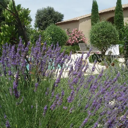 Du Sanglier-chambres D'hotes Bed & Breakfast